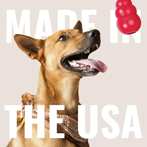 Classic Stuffable Dog Toy - Fetch & Chew Toy for Dogs - Treat-Filling Capabiliti - Picture 6 of 9